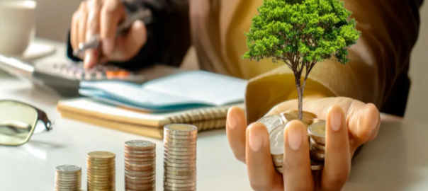 Investasi Ramah Pemula, Pilihan Instrumen Keuangan Yang Paling Menguntungkan